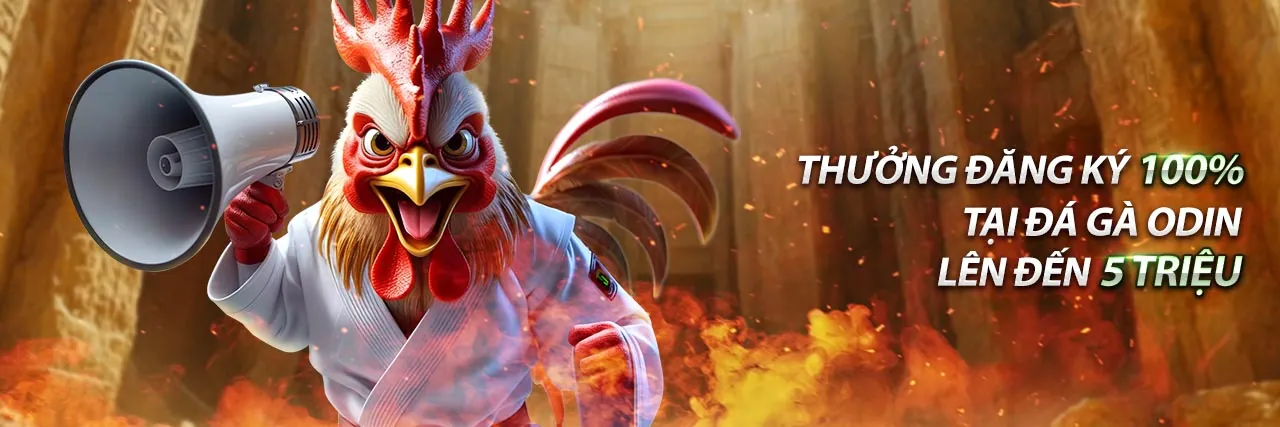 Sân vận động với các hoạt động cá cược thể thao sôi động tại 6vin hiện đang mở