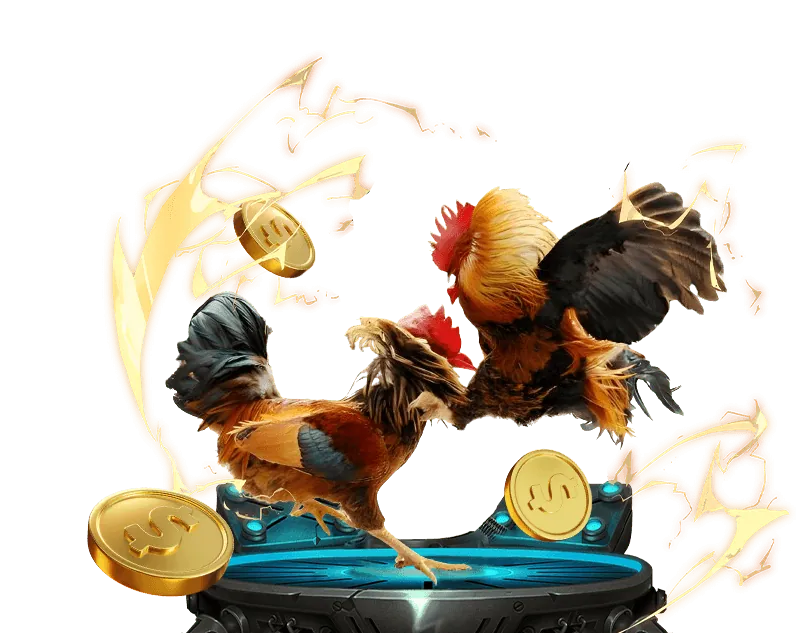 Khám phá các tính năng và ưu điểm mới của 6vin